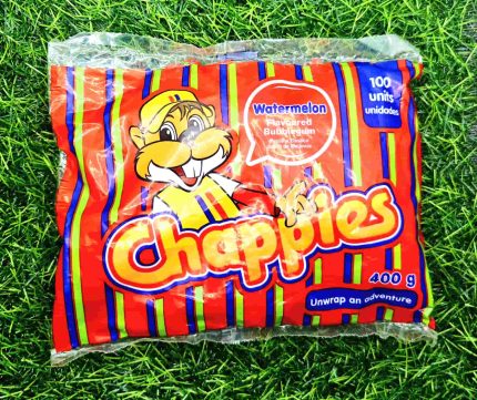 CHAPPIES WATERMELON 100 UNITS