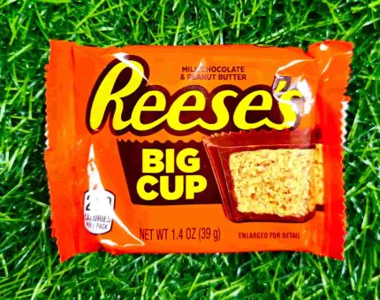REESES BIG CUP 39G