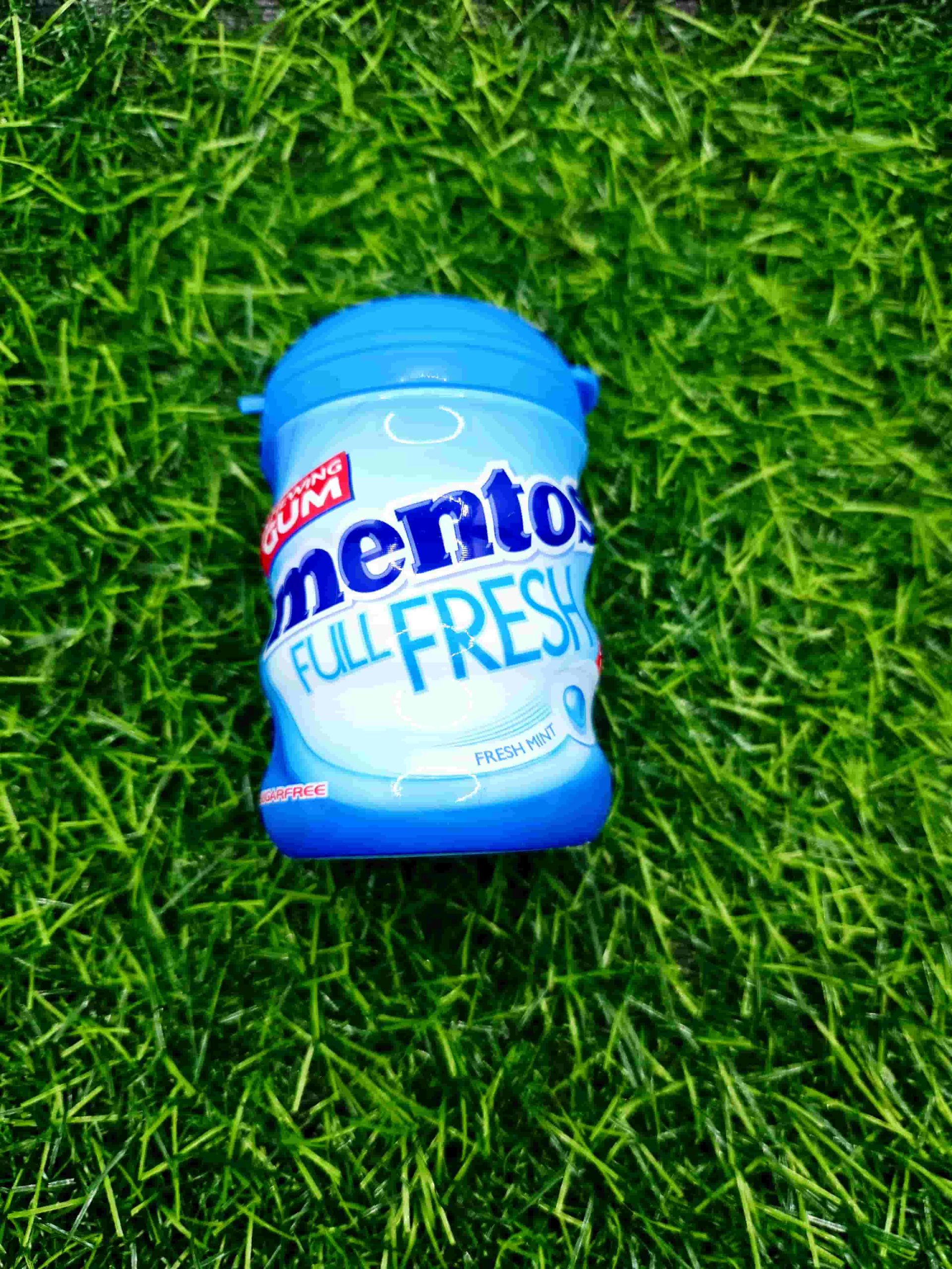 MENTOS BOTTLE GUM MINT