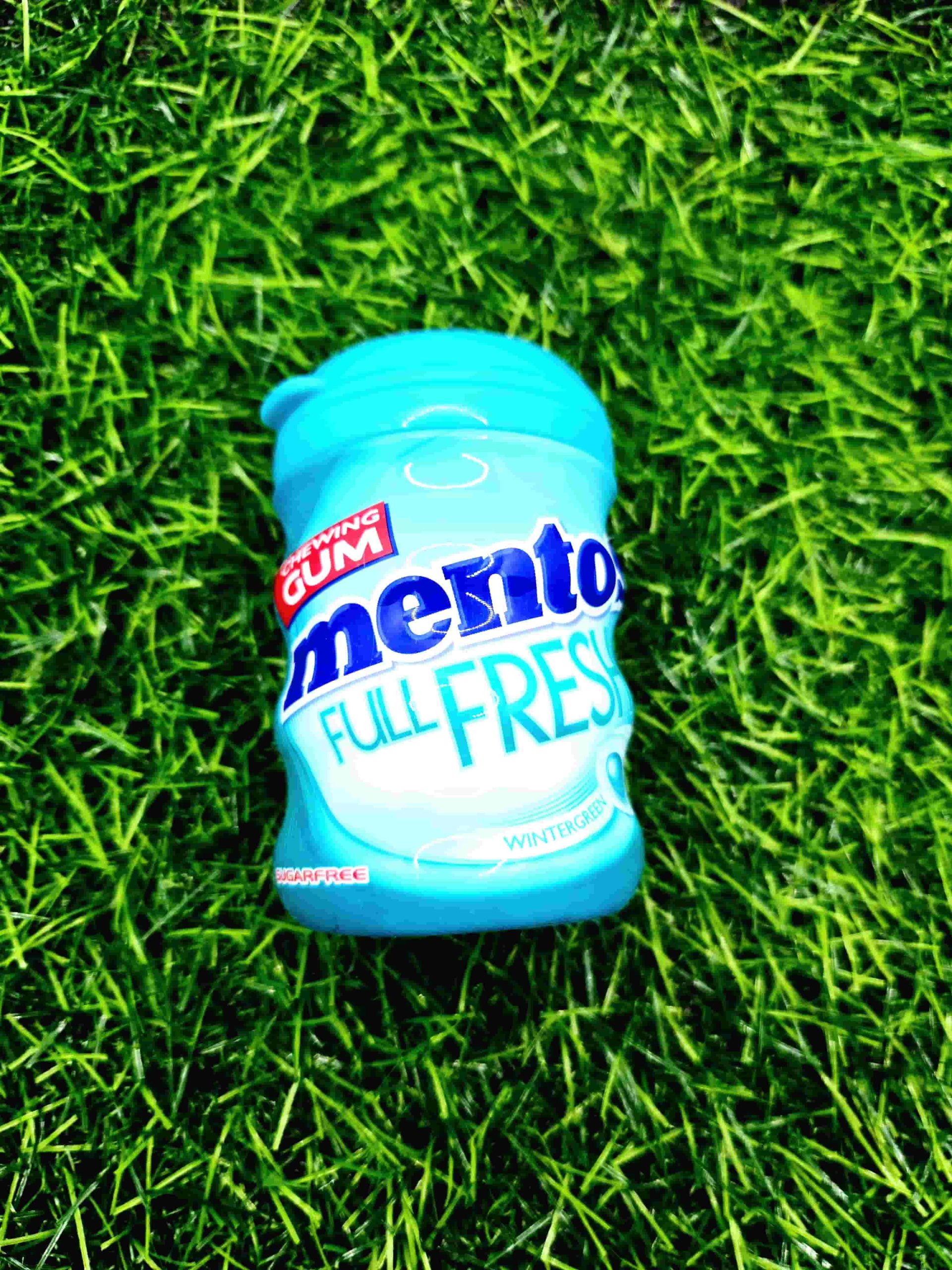 MENTOS BOTTLE GUM WINTER GREEN