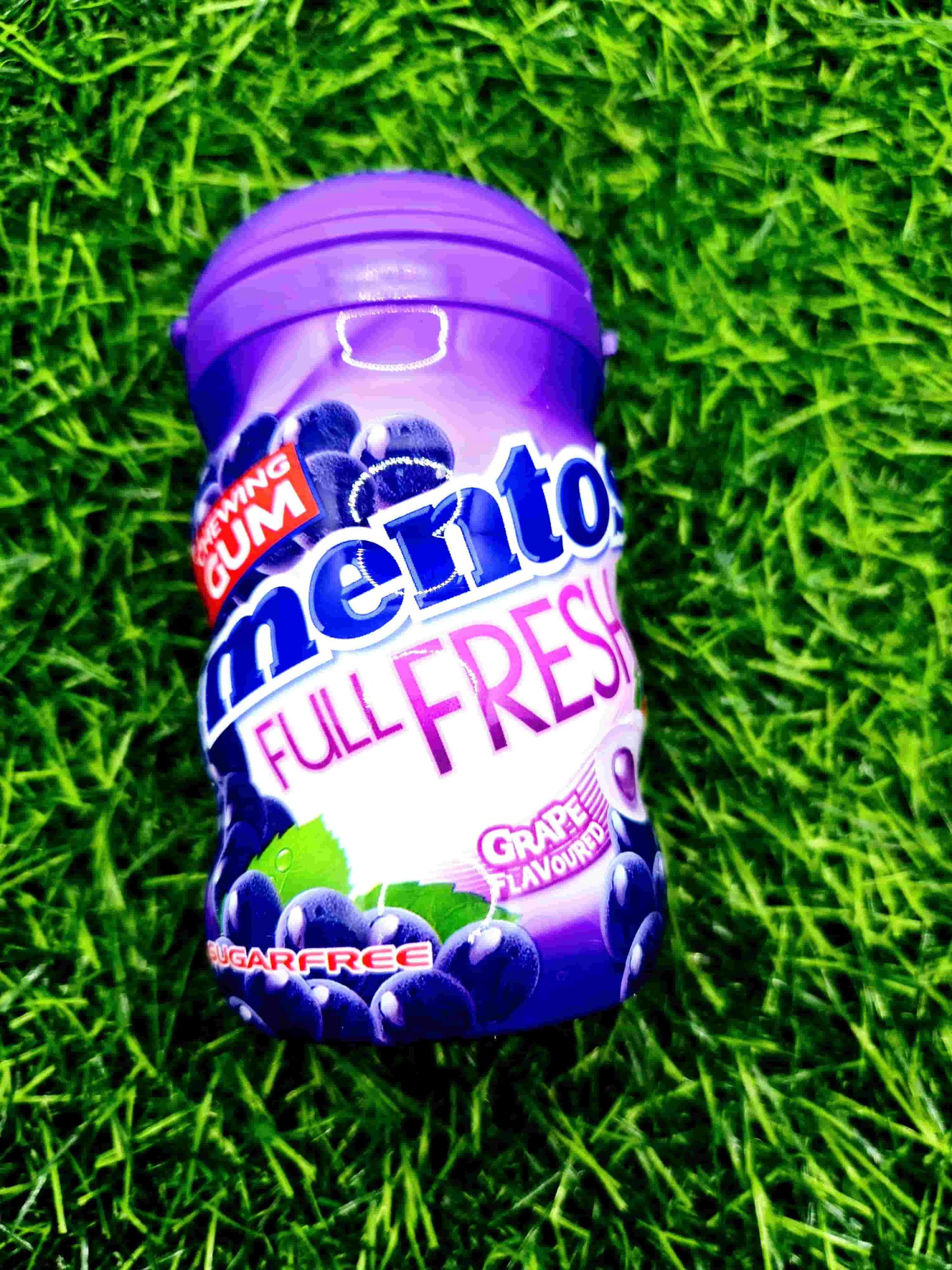 MENTOS BIG BOTTLE GUM GRAPE
