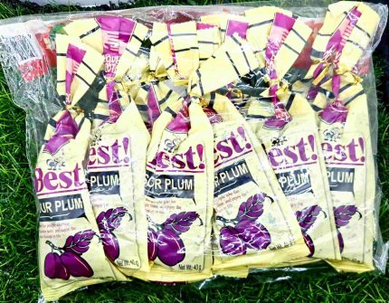 BEST SOUR PLUM 12 X 40G