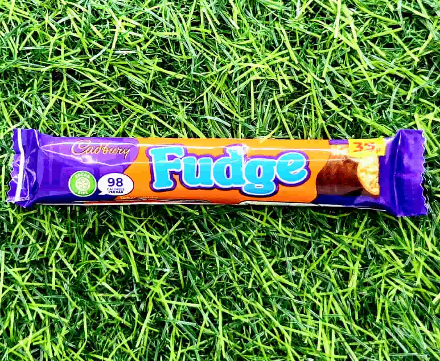 CADBURY FUDGE 22G