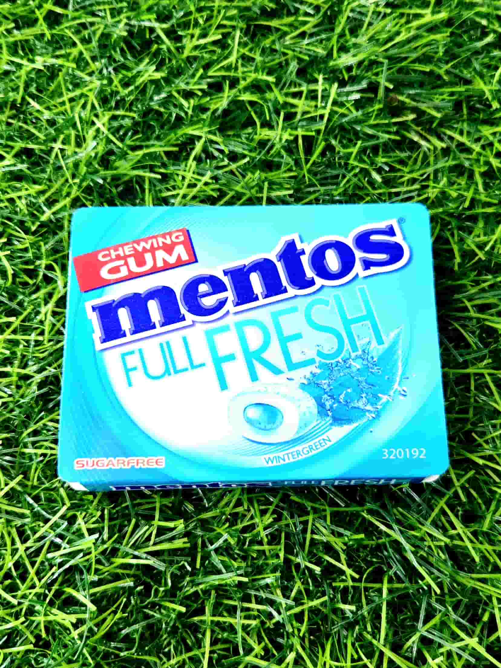 MENTOS PURE BREATH WINTER GREEN