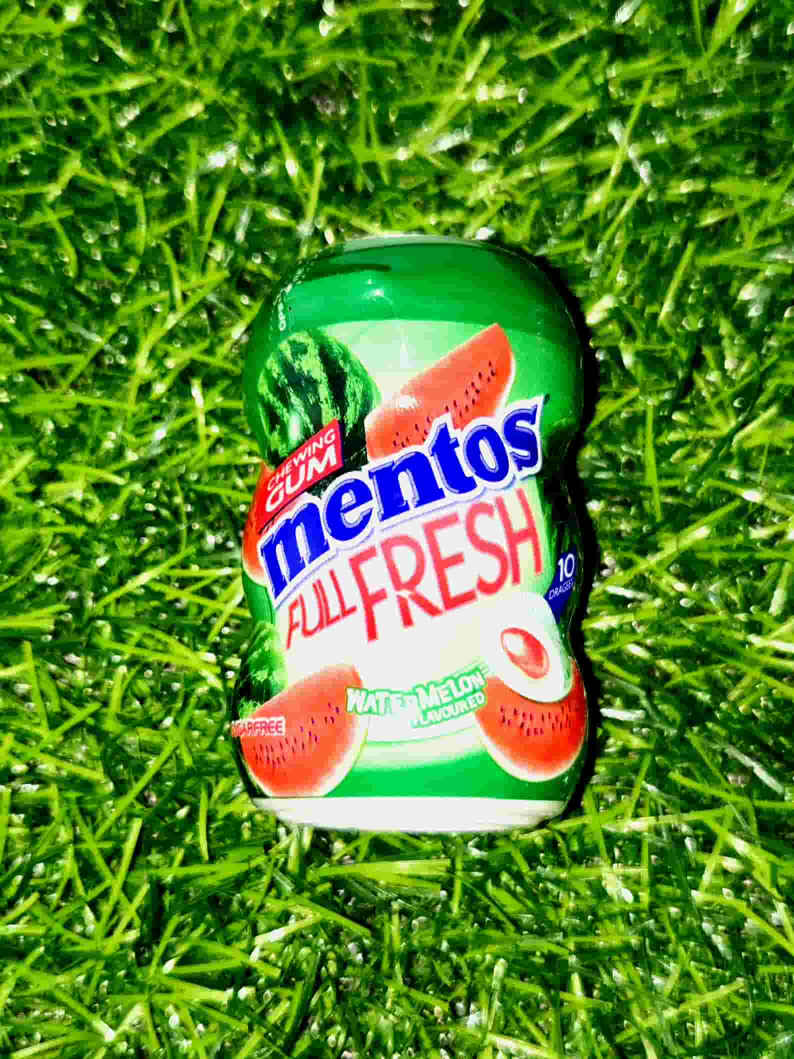 MENTOS TUB 10PC WATERMELON 17.5G