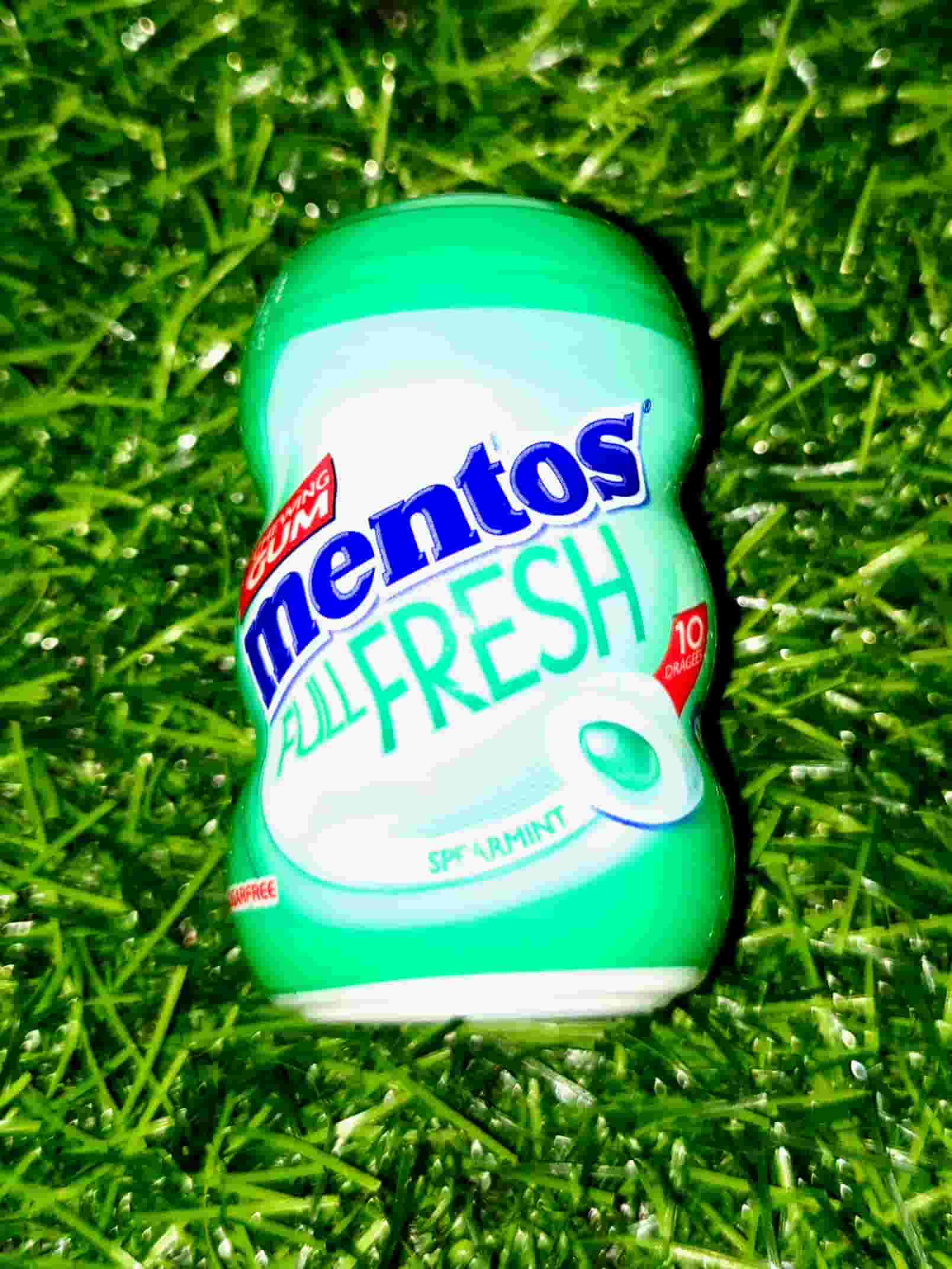 MENTOS GUM TUB SPEARMINT 17.5G