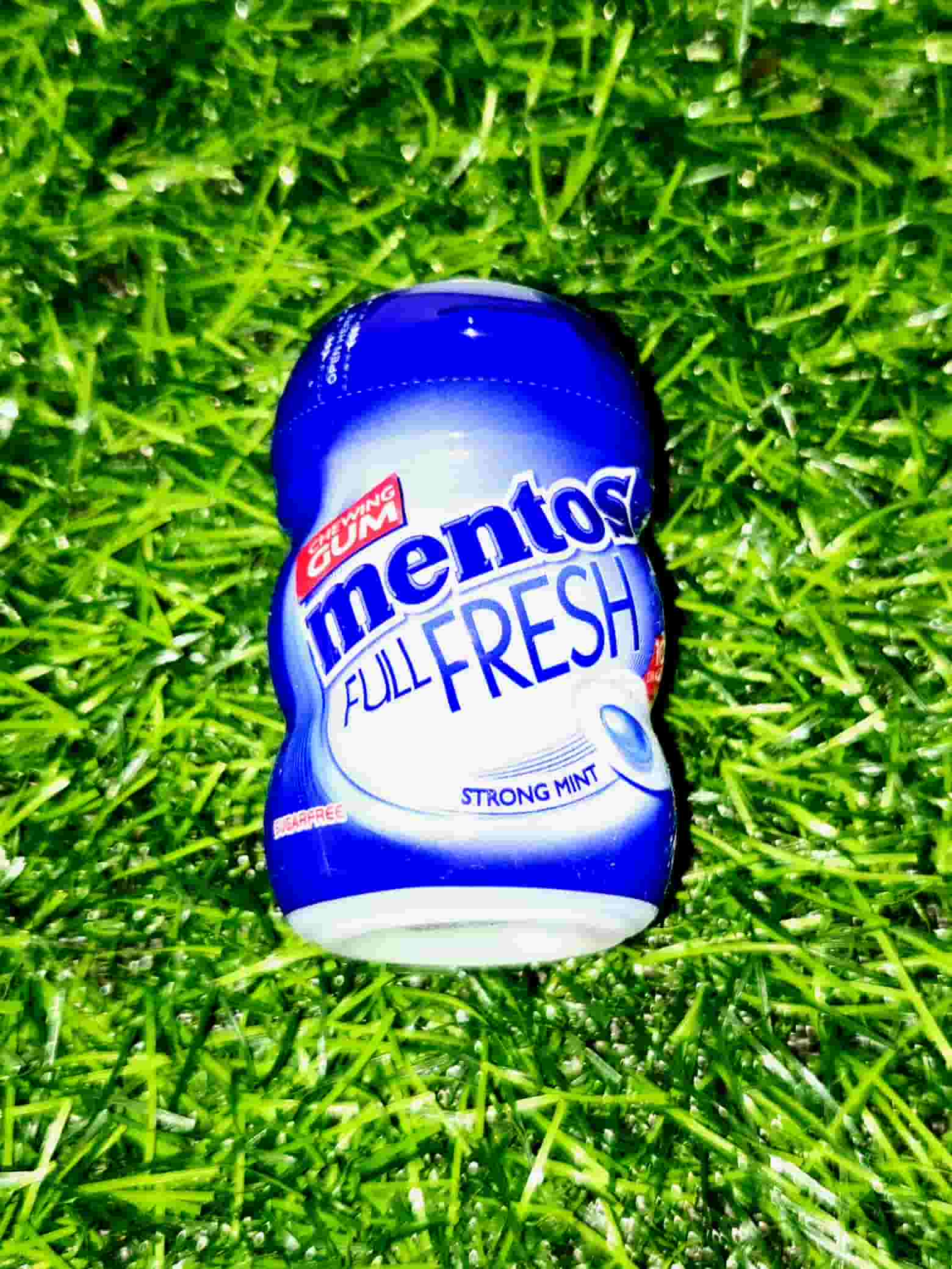 MENTOS CG 10PC STRONG MINT 17.5G