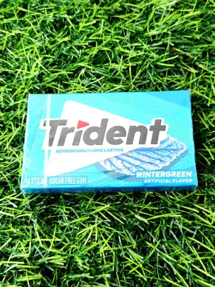 TRIDENT S/FREE GUM WINTERGREEN