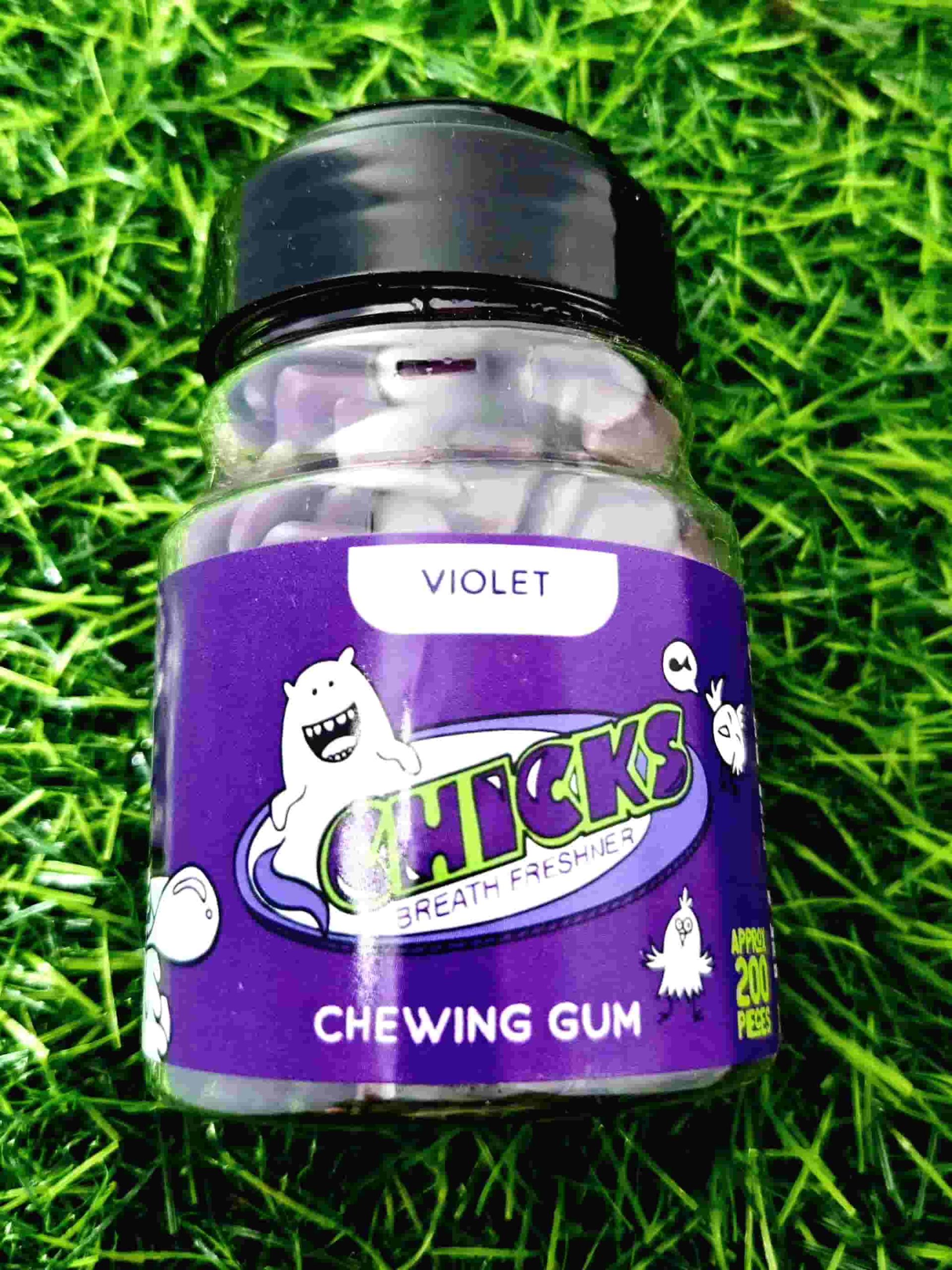 CHICKS VIOLET CHEWING GUM TUB 120G