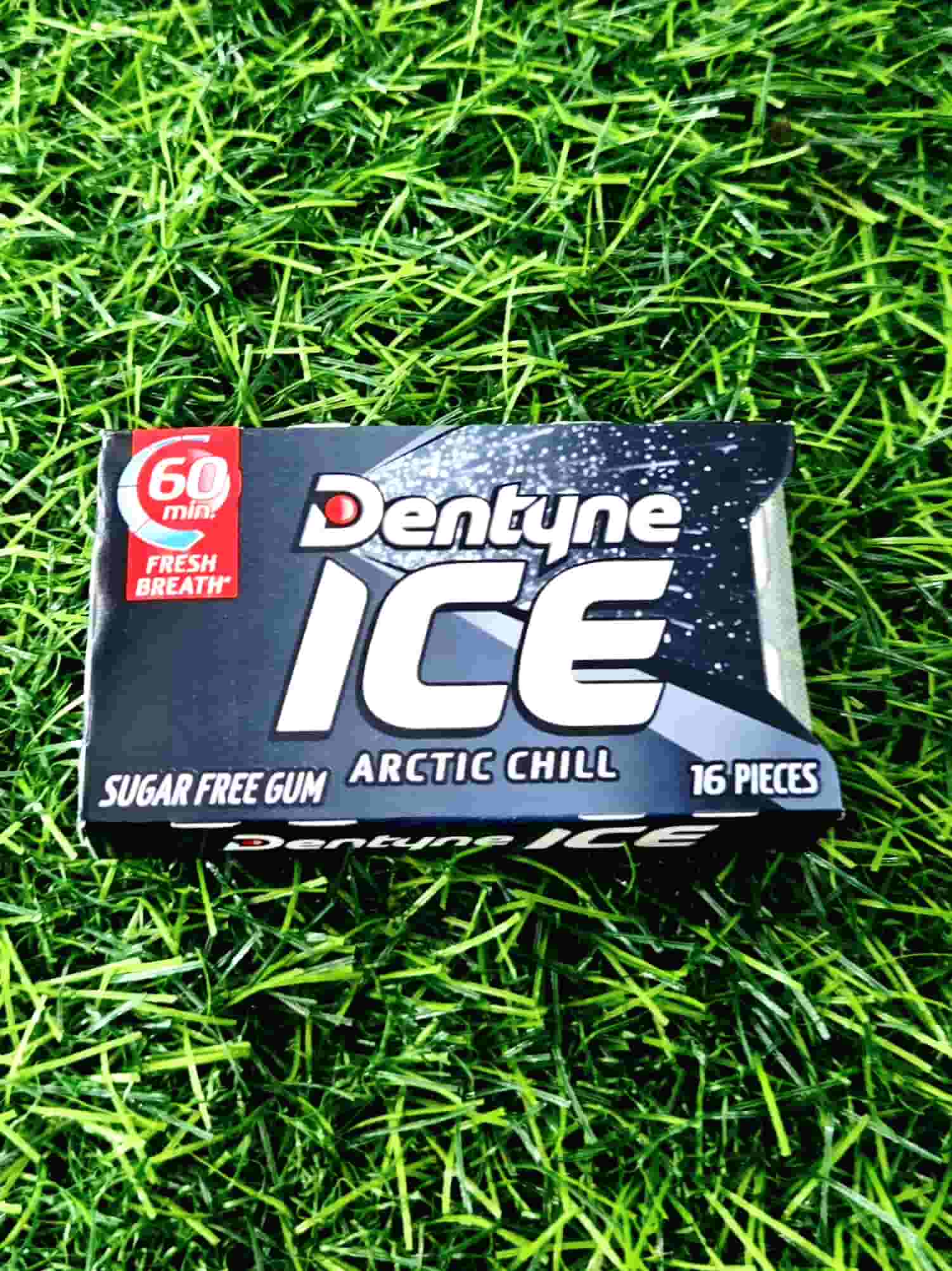 DENTYNE ICE ARCTIC CHILL