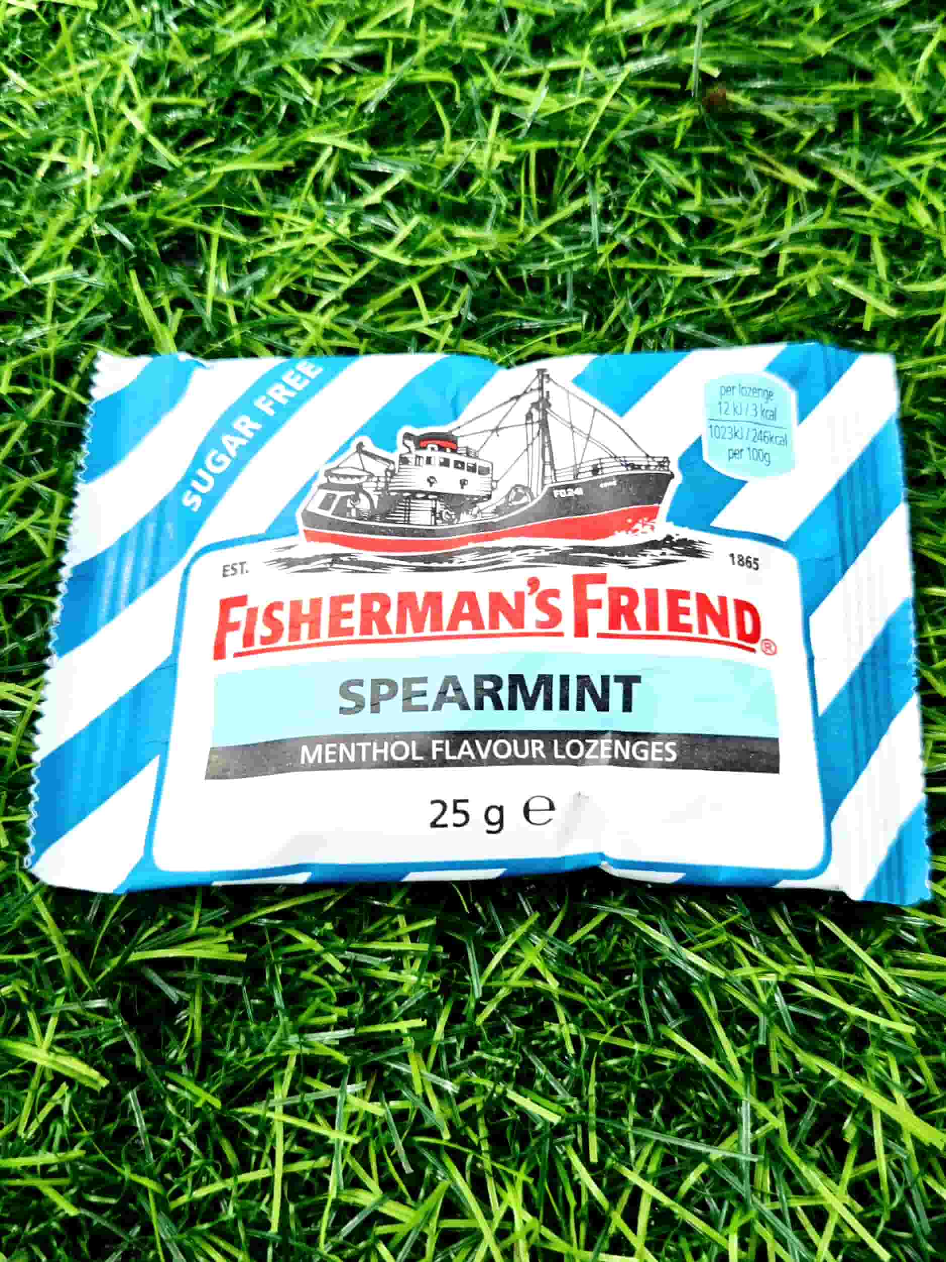 FISHERMANS FRIEND SPEARMINT 25G