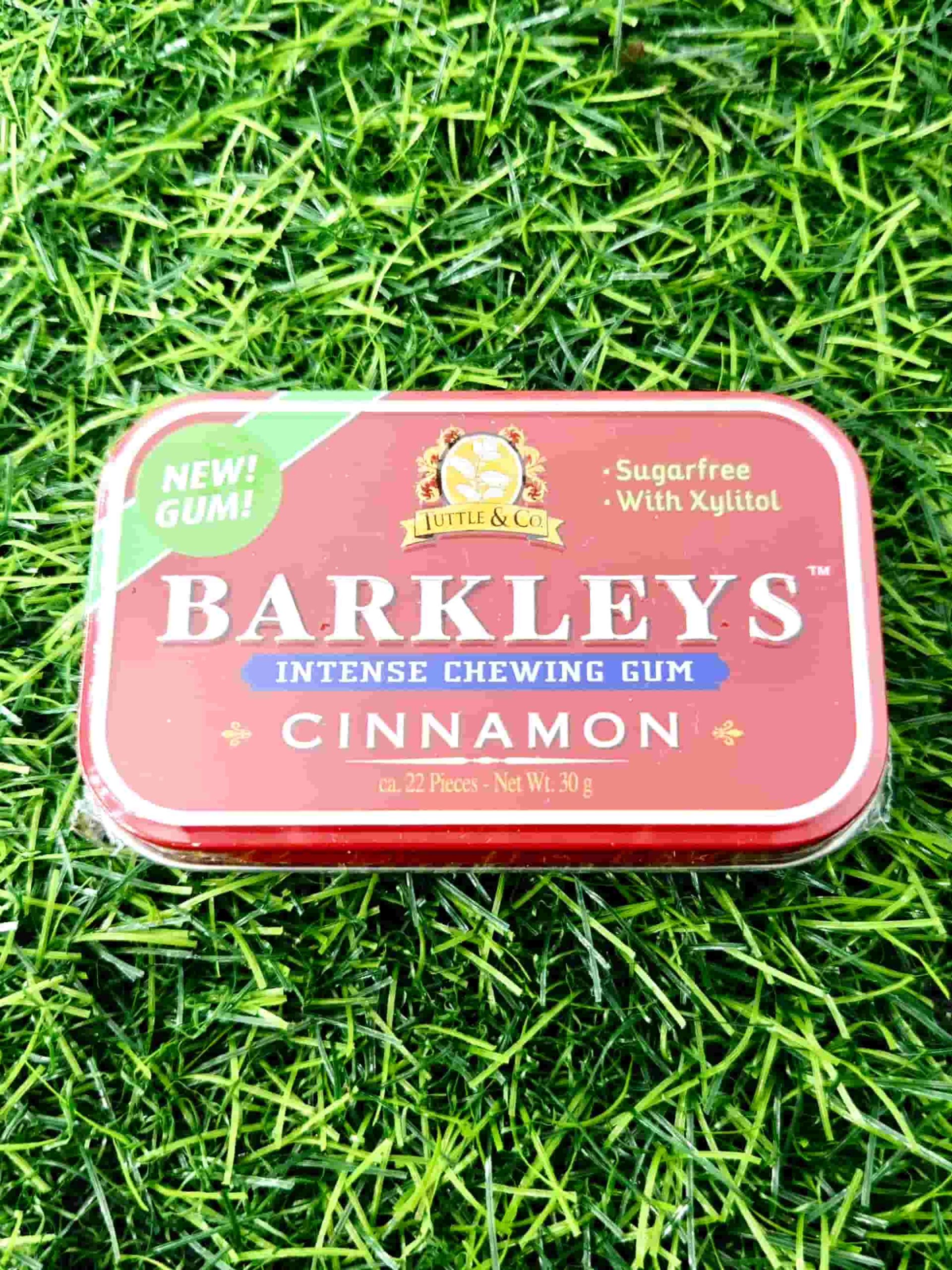 BARKLEYS CHEWING GUM CINNAMON 30G