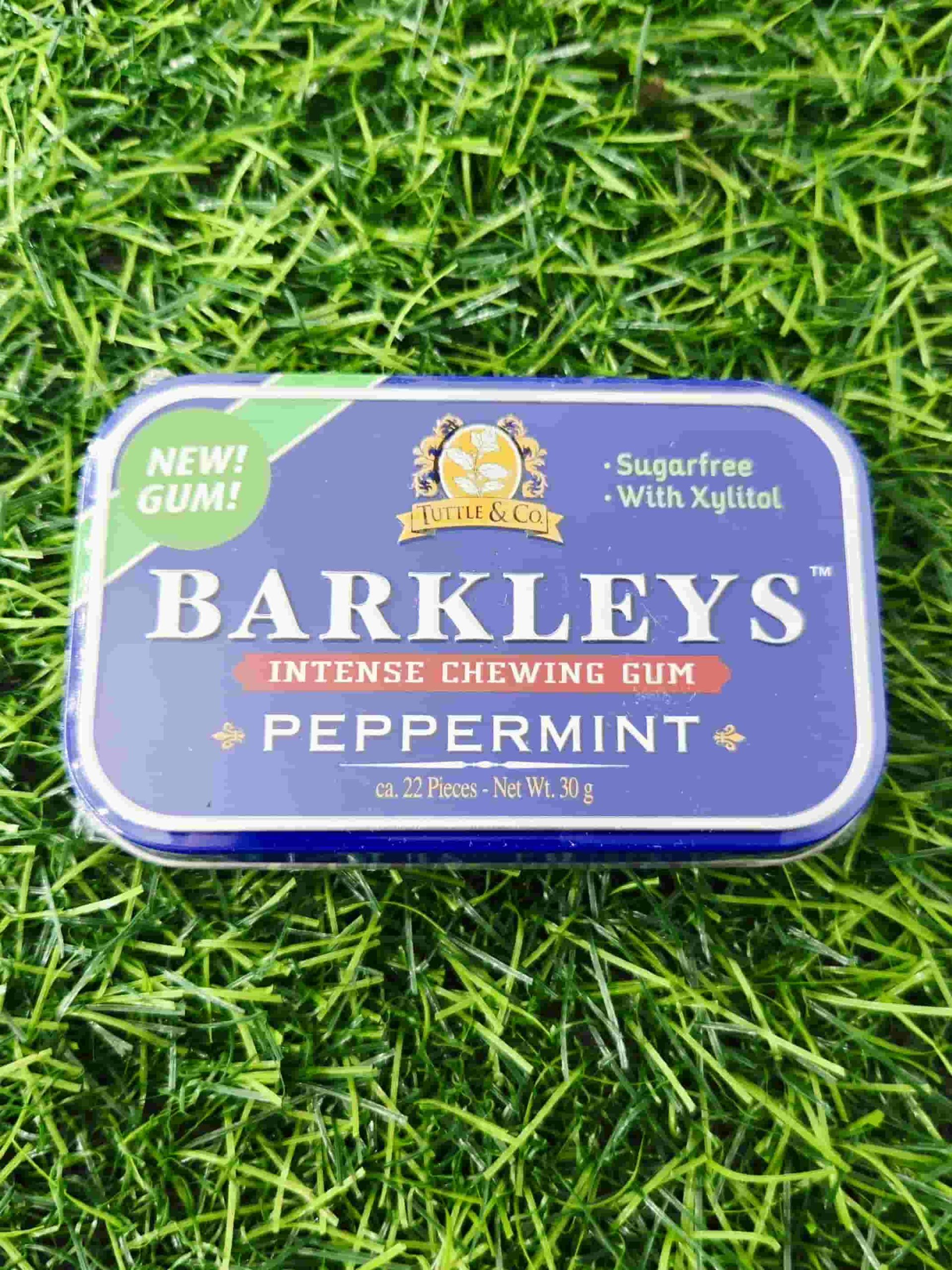 BARKLEYS CHEWING GUM PEPPERMINT 30G