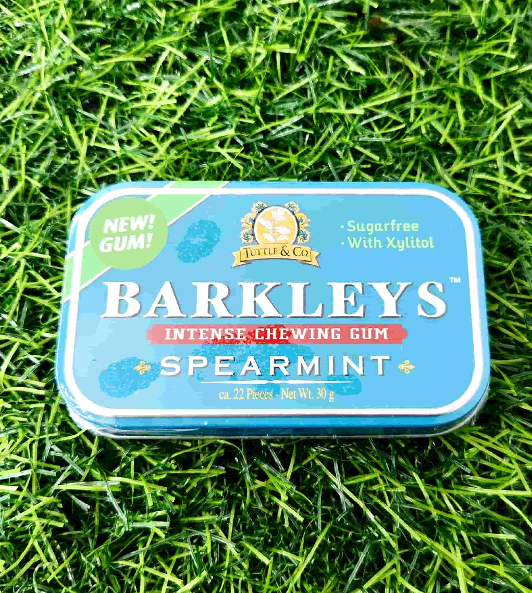 BARKLEYS CHEWING GUM SPEARMINT 30G