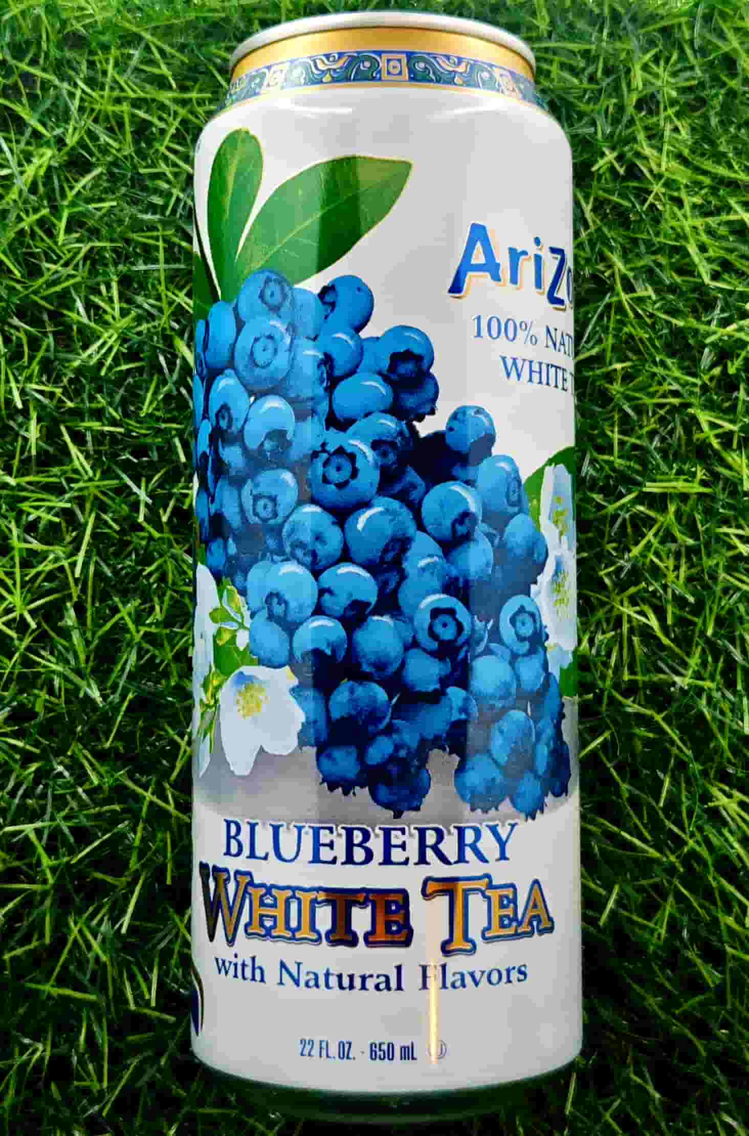 ARIZONA BLUEBERRY WHITE TEA 650ML